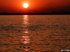 夕陽に浮かぶ水鳥と富士山