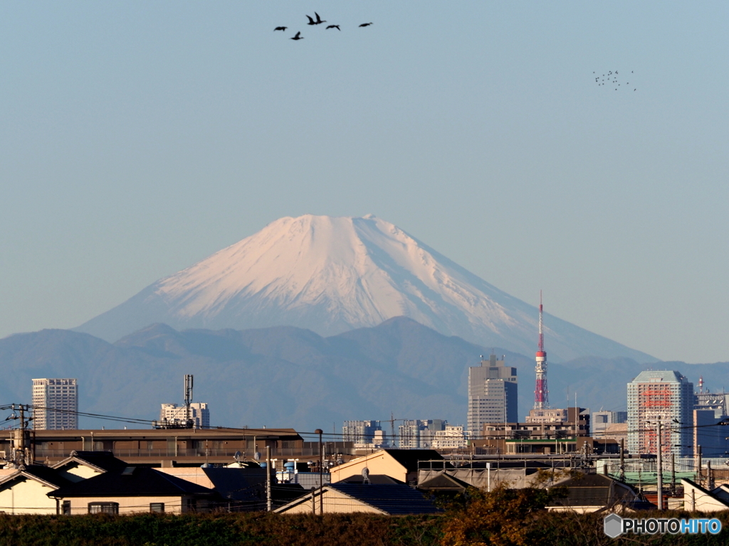 今朝の富士山