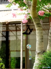 風鈴のあるお宅