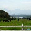牧場の朝
