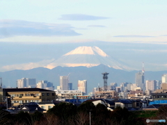 今朝の富士山