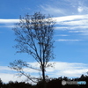 雲20-①