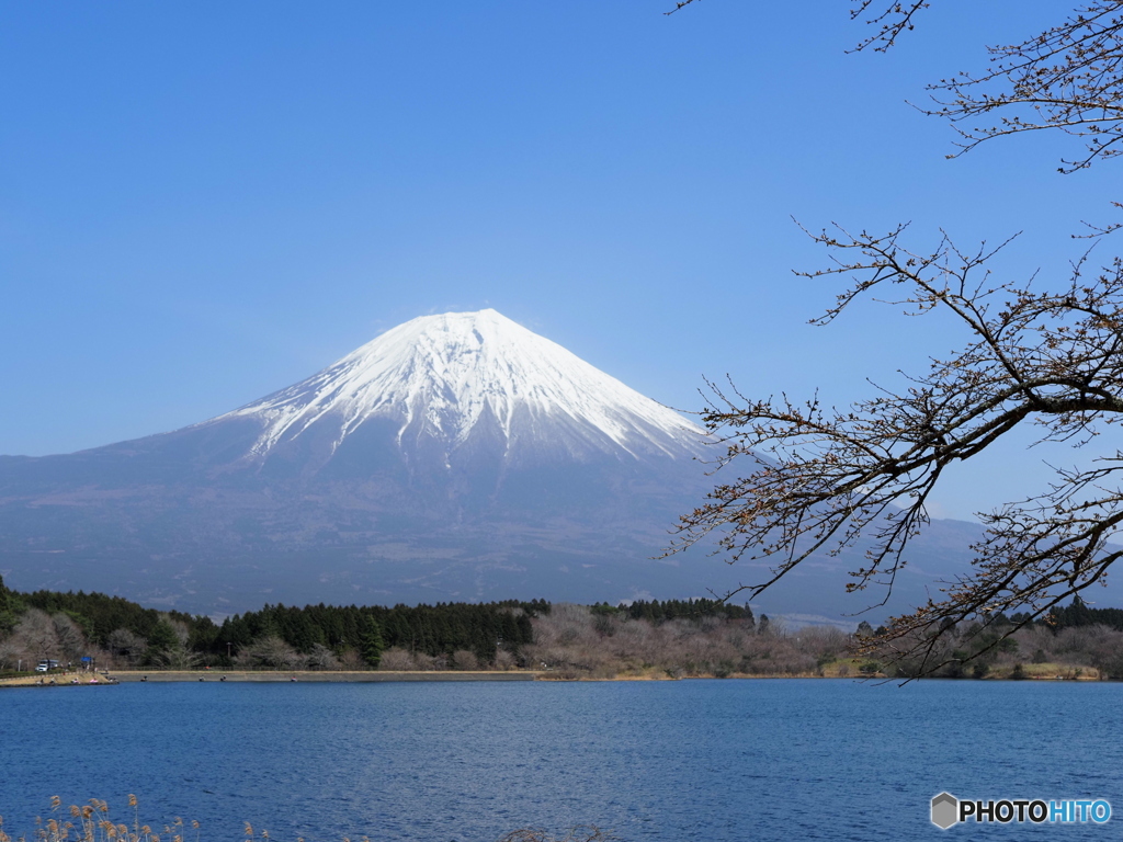 今日の富士山