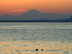 富士山02