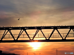 夜明けの鉄橋