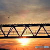 夜明けの鉄橋