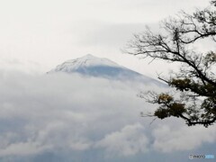 昨日の富士山
