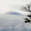 昨日の富士山