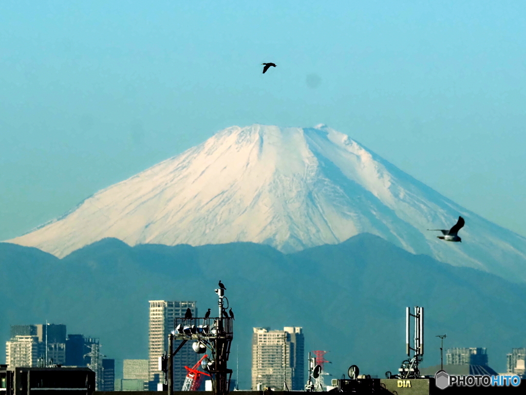 今朝の富士山