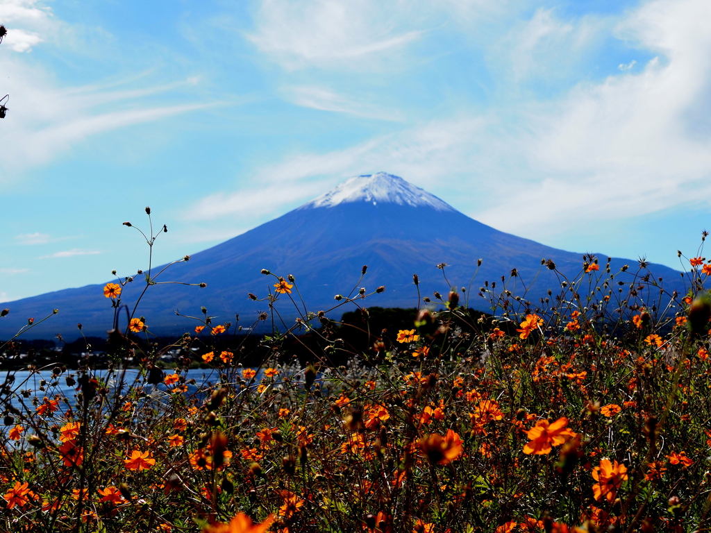 昨日の富士山
