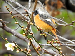 視線の先は・・②