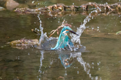 水柱をあげる