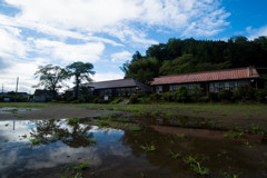 雨後の水面に映える