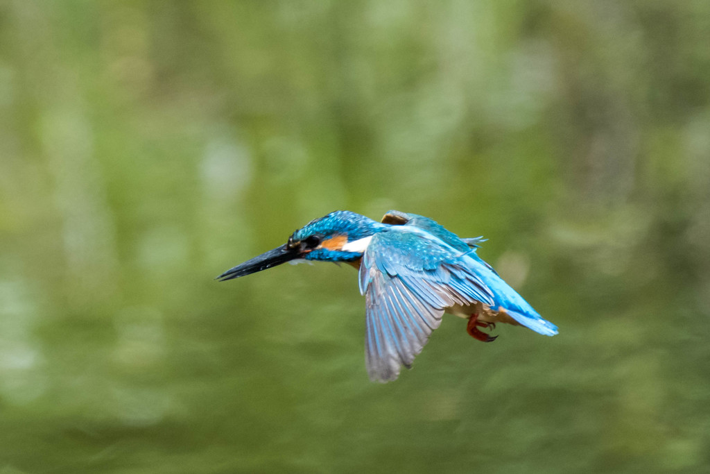 滑空