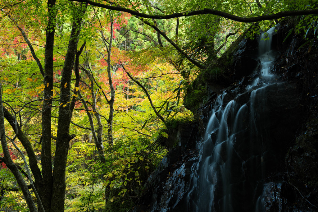紅葉を背に