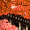 赤い屋根