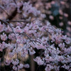 同じ目線で