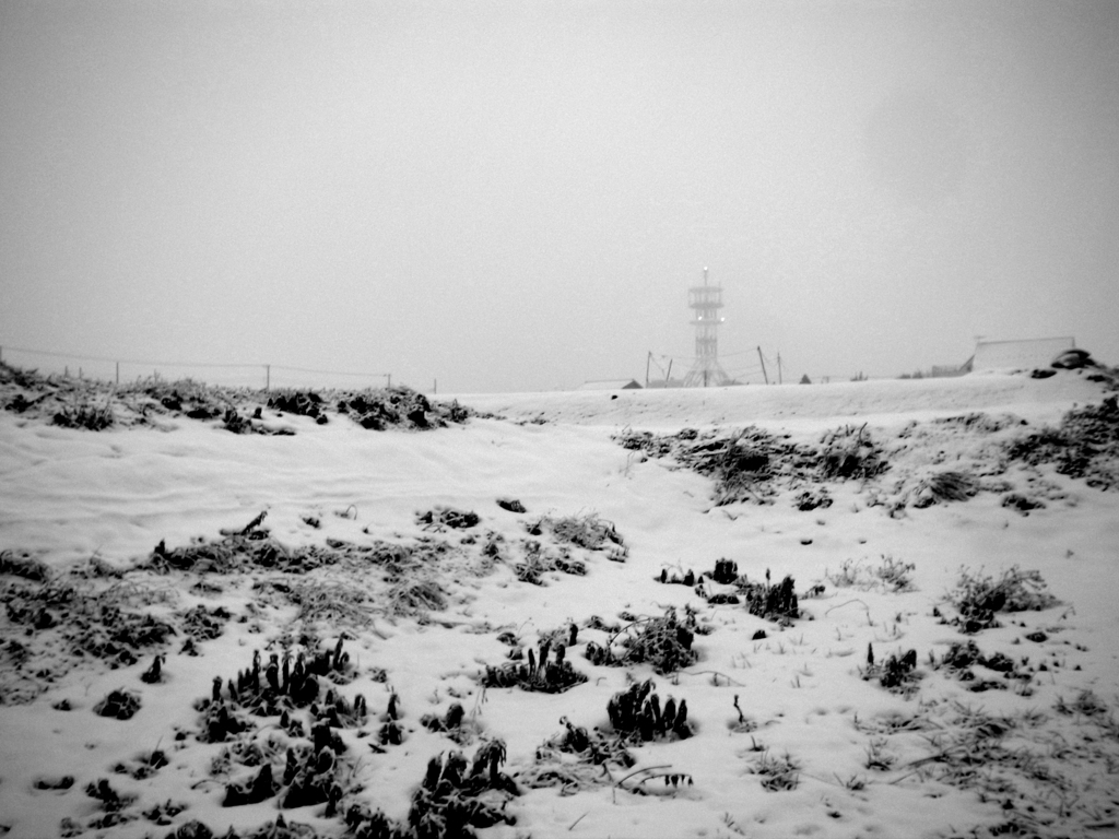 R0020971