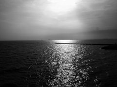 R0019546