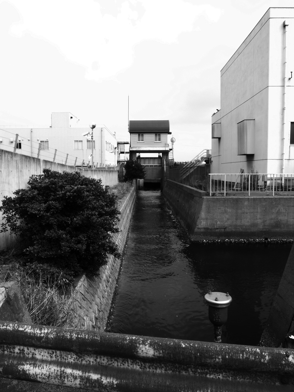 R0019506