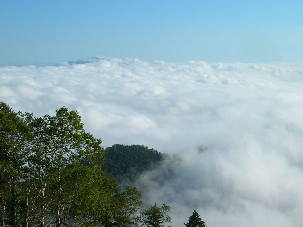 津別峠の雲海