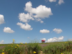 上富良野