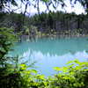 青い池　真夏