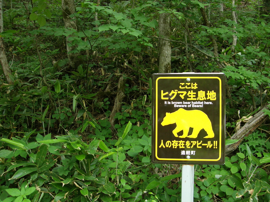 熊注意２