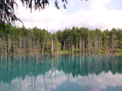 碧い池③