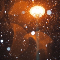 　雪街灯