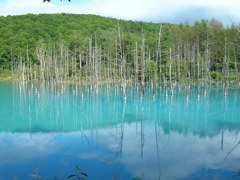 碧い池　終夏