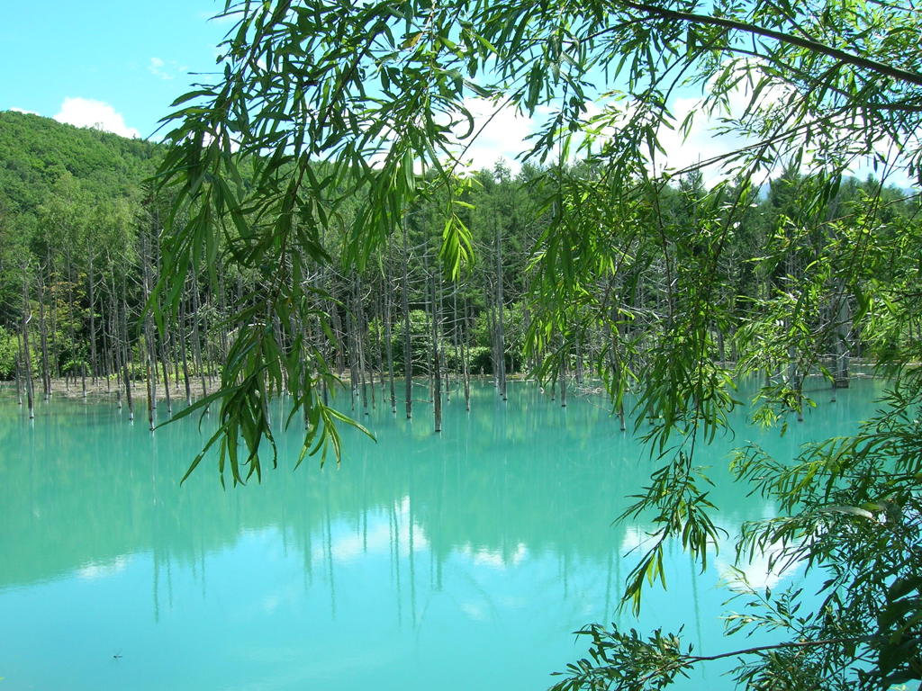 青い池