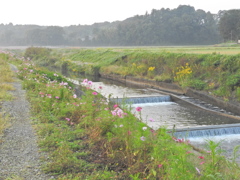 小川のほとり