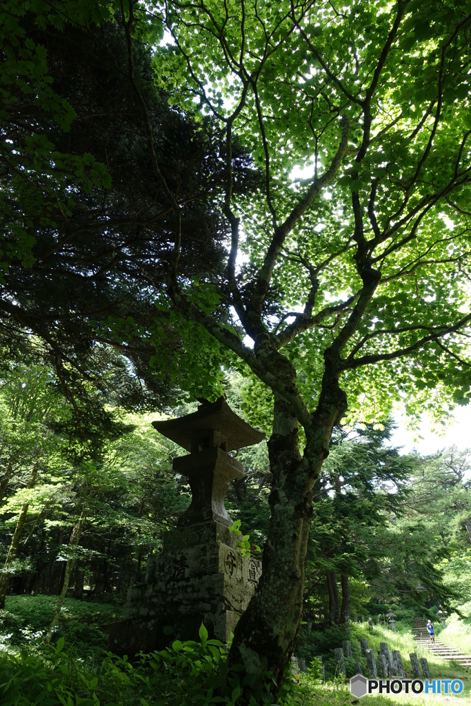 富士吉田口　馬返し～六合目