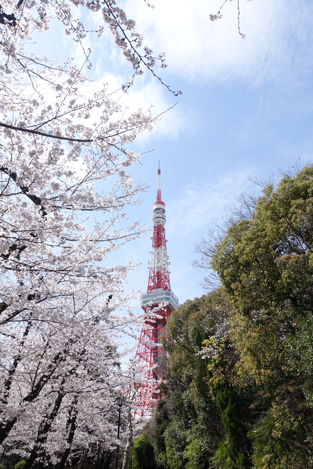 春風に囲まれて