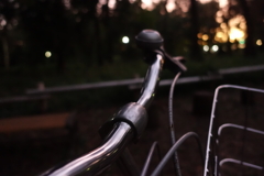 相棒　その1