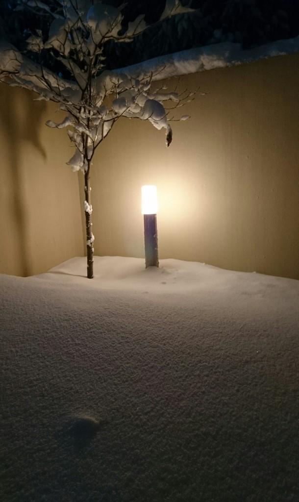 積もった〜