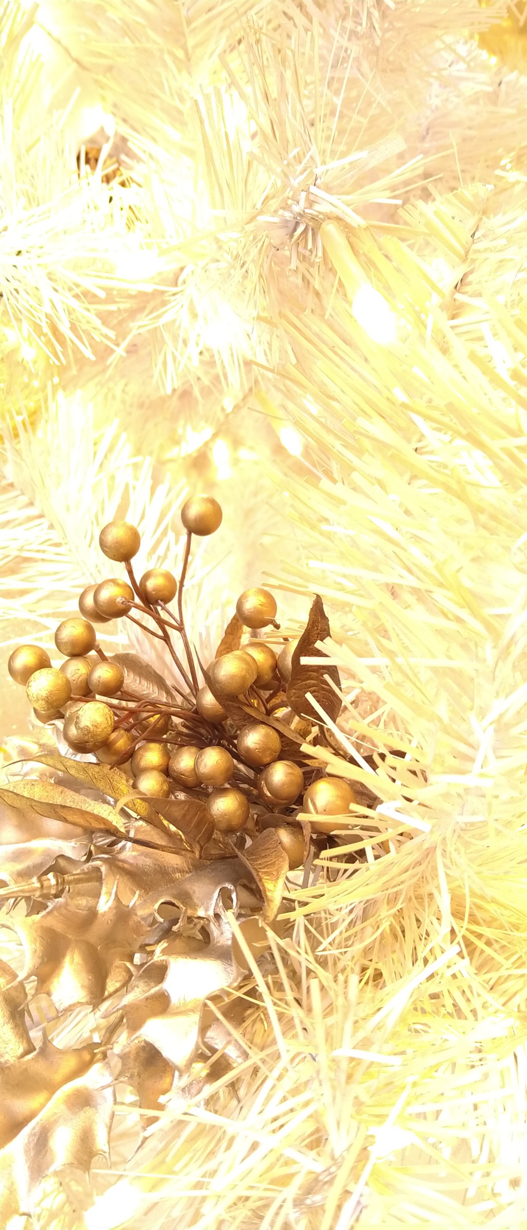 メリー・クリスマス