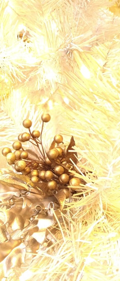 メリー・クリスマス