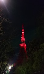 春節祭カラー