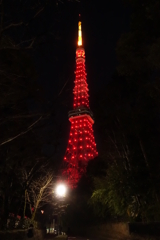 山川異域　風月同天　東京タワー