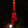 山川異域　風月同天　東京タワー