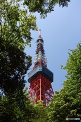 緑に囲まれた東京タワー