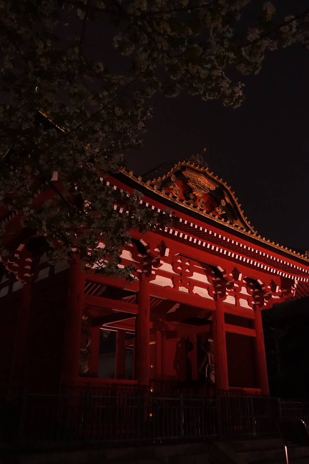 春の宵、増上寺山門