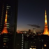 DOUBLE TOKYO TOWER