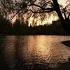 水辺の夕暮れ