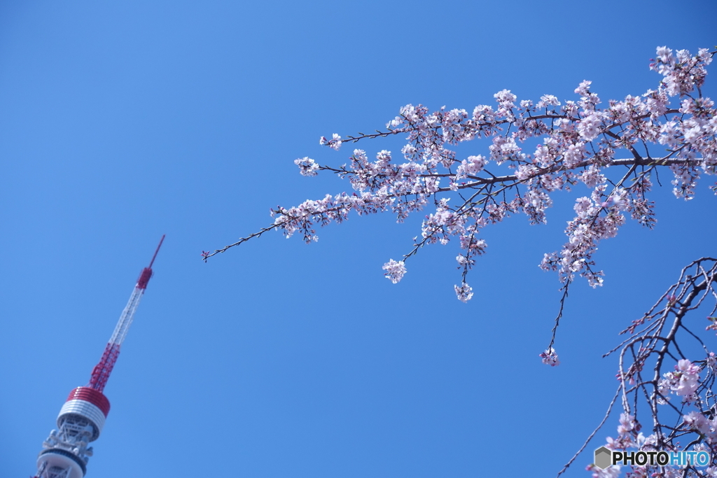 青空と①