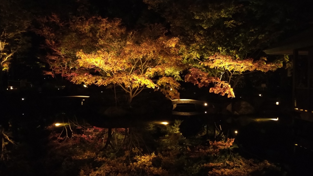 紅葉