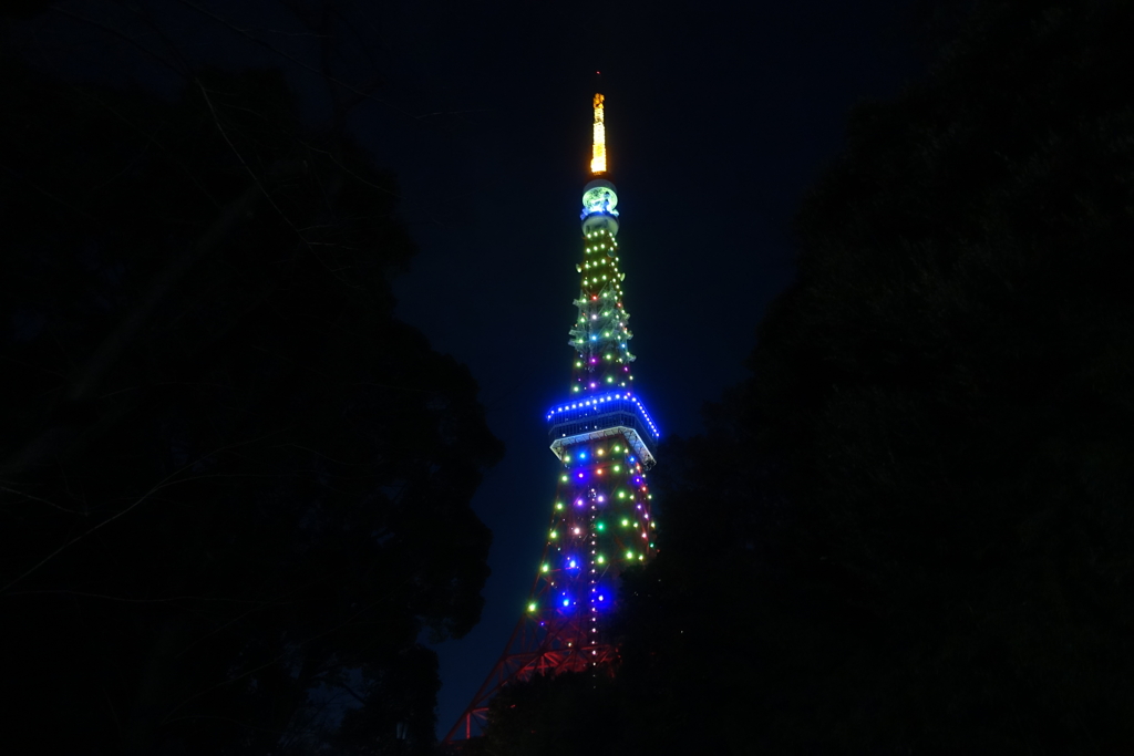 キャンディタワー（2020.12.10）