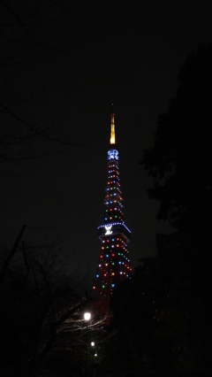 冬の東京タワー